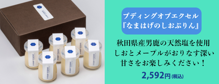 プディングオブエクセル　『なまはげしおぷりん』